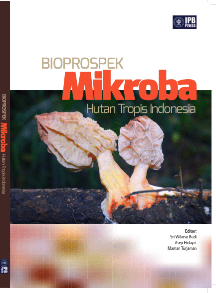 Bioprospek Mikroba Hutan Tropis Indonesia / Ahmad Faizal; Asep Hidayat; Djarwanto; Maman Turjaman; Retno Prayudyaningsih; Rizki Maharani; Rizkita Rachmi Esyanti; Rizna Triana Dewi; Safinah Surya Hakim; Sihati Suprapti; Sri Wilarso Budi; Yutaka Tamai