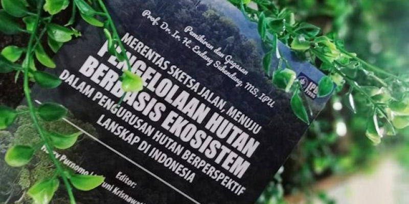 Merentas Sketsa Jalan, Menuju Pengelolaan Hutan Berbasis Ekosistem :  Dalam pengurusan hutan berperspektif Lanskap di Indonesia / Editor Herry Purnomo; Haruni Krisnawati; Tatang Tiryana
