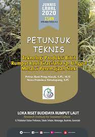Petunjuk Teknis :  Teknologi Produksi Bibit Rumput Laut Gracilaria sp. Unggul Melalui Peremajaan Stek / Petrus Rani Pong-Masak; Nova Fransisca Simatupang