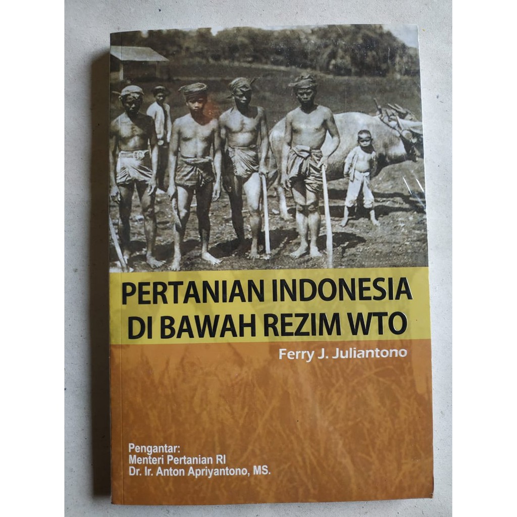Pertanian Indonesia di bawah rezim WTO / Ferry J. Juliantono ; penyunting, Yusi Avinto Pareanom